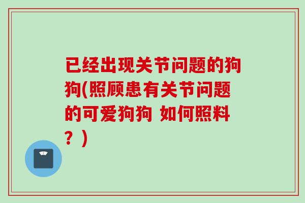 已经出现关节问题的狗狗(照顾患有关节问题的可爱狗狗 如何照料？)