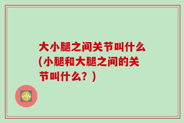 大小腿之间关节叫什么(小腿和大腿之间的关节叫什么？)