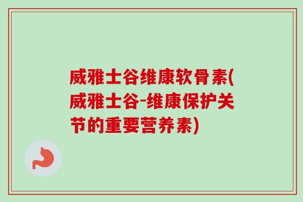 威雅士谷维康软骨素(威雅士谷-维康保护关节的重要营养素)