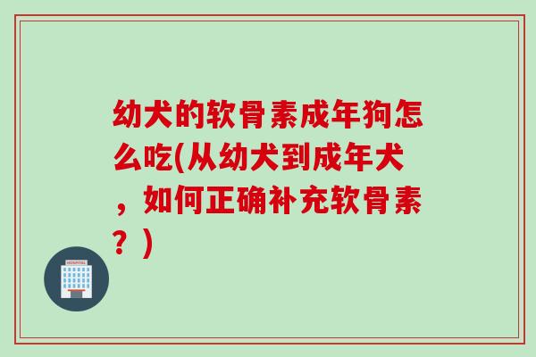幼犬的软骨素成年狗怎么吃(从幼犬到成年犬，如何正确补充软骨素？)