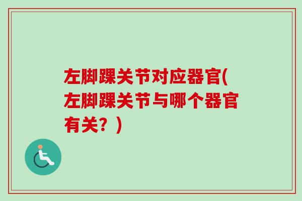 左脚踝关节对应器官(左脚踝关节与哪个器官有关？)