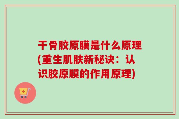 干骨胶原膜是什么原理(重生肌肤新秘诀：认识胶原膜的作用原理)