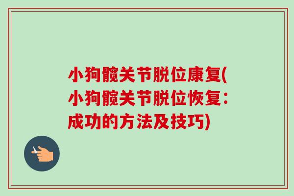 小狗髋关节脱位康复(小狗髋关节脱位恢复：成功的方法及技巧)