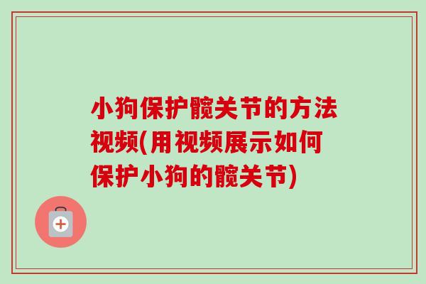 小狗保护髋关节的方法视频(用视频展示如何保护小狗的髋关节)