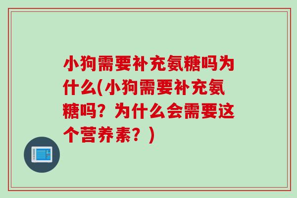 小狗需要补充氨糖吗为什么(小狗需要补充氨糖吗？为什么会需要这个营养素？)
