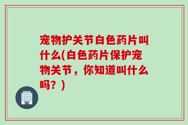 宠物护关节白色药片叫什么(白色药片保护宠物关节，你知道叫什么吗？)