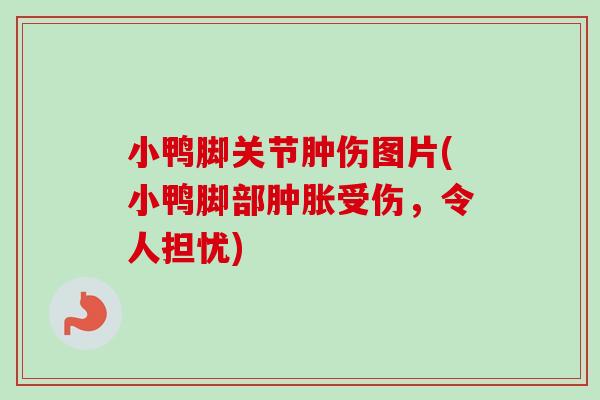 小鸭脚关节肿伤图片(小鸭脚部肿胀受伤，令人担忧)