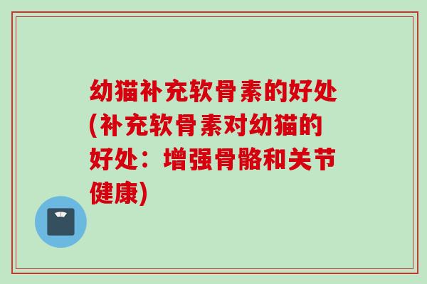 幼猫补充软骨素的好处(补充软骨素对幼猫的好处：增强骨骼和关节健康)