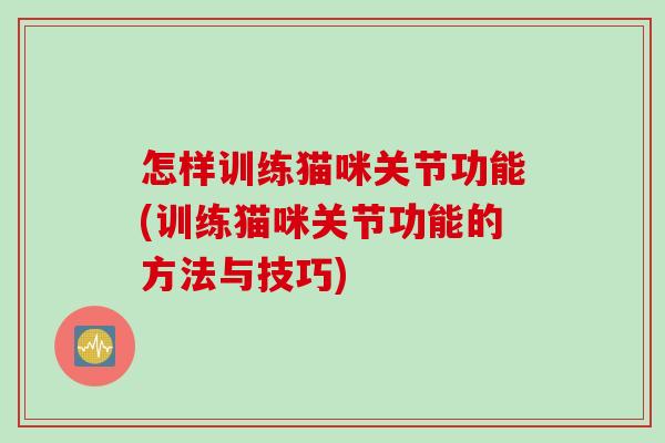 怎样训练猫咪关节功能(训练猫咪关节功能的方法与技巧)