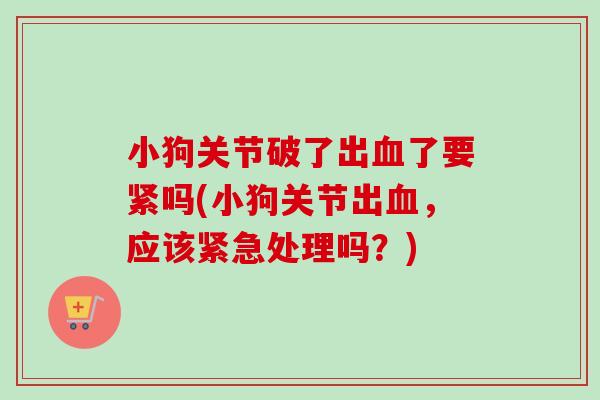 小狗关节破了出血了要紧吗(小狗关节出血，应该紧急处理吗？)