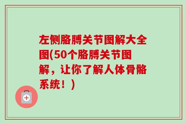 左侧胳膊关节图解大全图(50个胳膊关节图解，让你了解人体骨骼系统！)