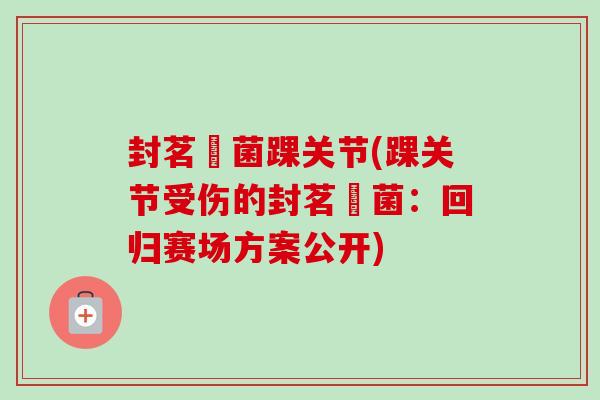 封茗囧菌踝关节(踝关节受伤的封茗囧菌：回归赛场方案公开)