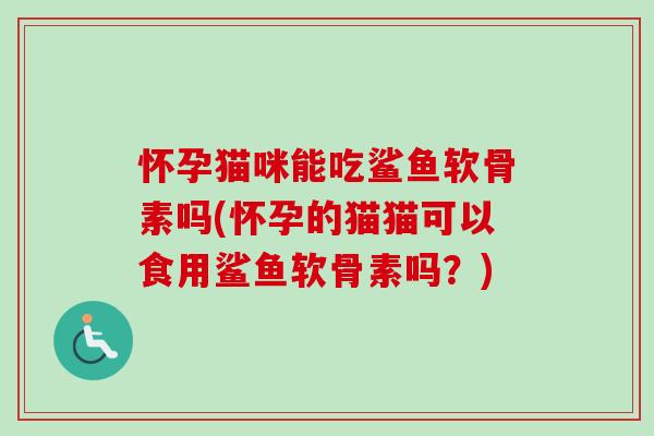 怀孕猫咪能吃鲨鱼软骨素吗(怀孕的猫猫可以食用鲨鱼软骨素吗？)