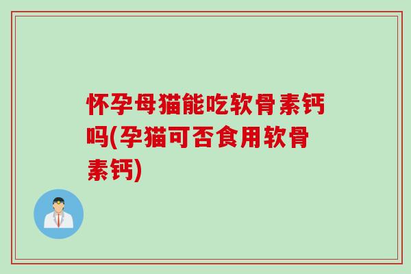 怀孕母猫能吃软骨素钙吗(孕猫可否食用软骨素钙)