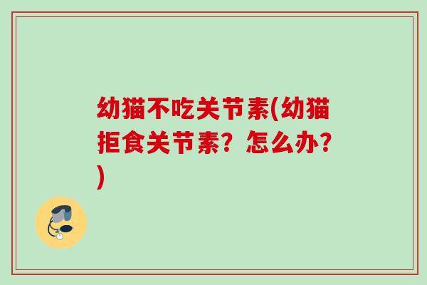幼猫不吃关节素(幼猫拒食关节素？怎么办？)