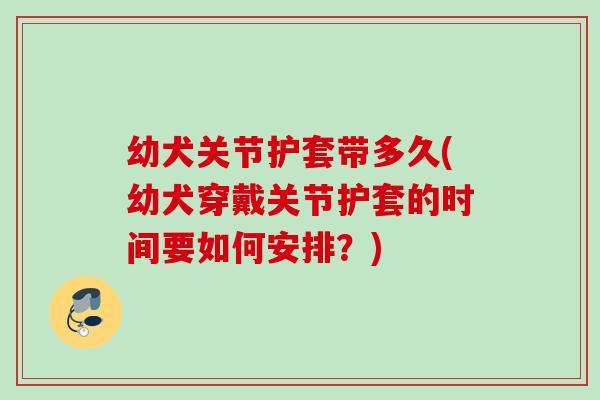 幼犬关节护套带多久(幼犬穿戴关节护套的时间要如何安排？)