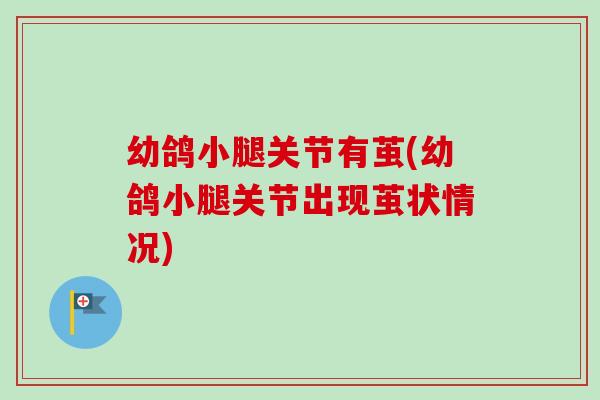 幼鸽小腿关节有茧(幼鸽小腿关节出现茧状情况)