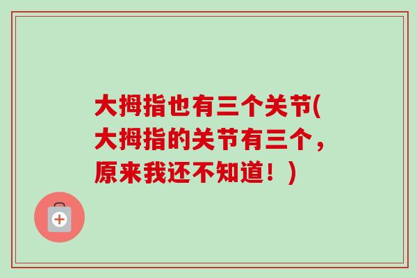 大拇指也有三个关节(大拇指的关节有三个，原来我还不知道！)