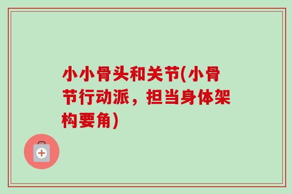 小小骨头和关节(小骨节行动派，担当身体架构要角)
