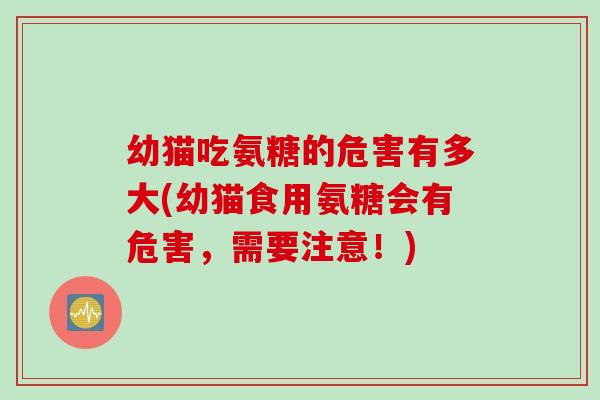 幼猫吃氨糖的危害有多大(幼猫食用氨糖会有危害，需要注意！)