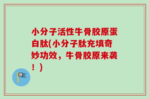 小分子活性牛骨胶原蛋白肽(小分子肽充填奇妙功效，牛骨胶原来袭！)