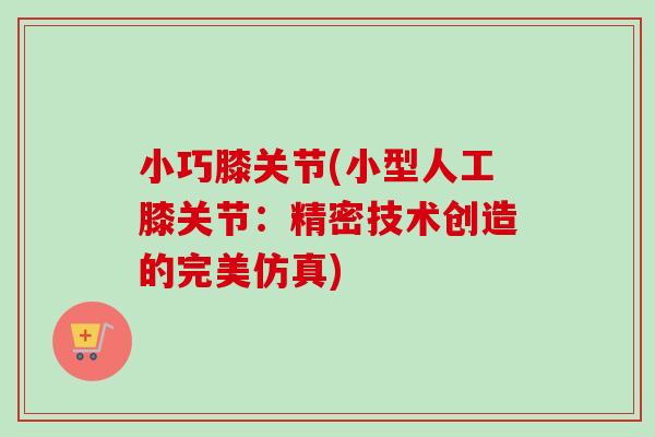 小巧膝关节(小型人工膝关节：精密技术创造的完美仿真)