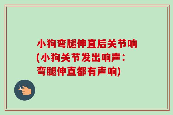 小狗弯腿伸直后关节响(小狗关节发出响声：弯腿伸直都有声响)
