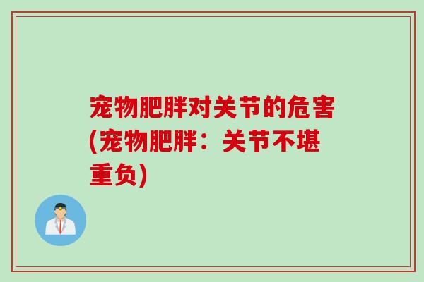 宠物肥胖对关节的危害(宠物肥胖：关节不堪重负)