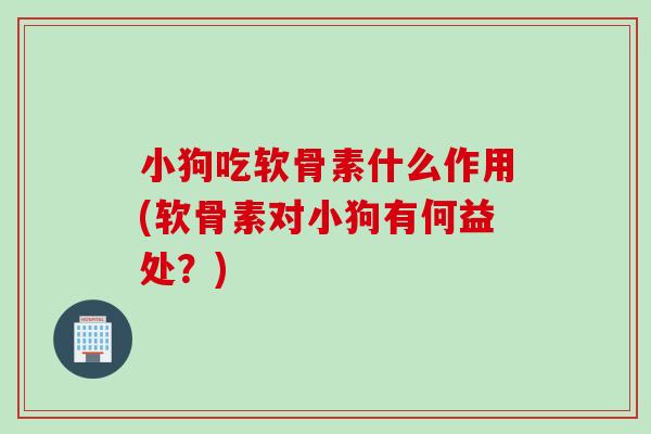 小狗吃软骨素什么作用(软骨素对小狗有何益处？)