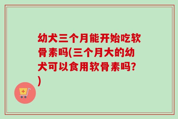 幼犬三个月能开始吃软骨素吗(三个月大的幼犬可以食用软骨素吗？)