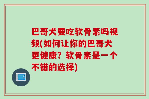 巴哥犬要吃软骨素吗视频(如何让你的巴哥犬更健康？软骨素是一个不错的选择)