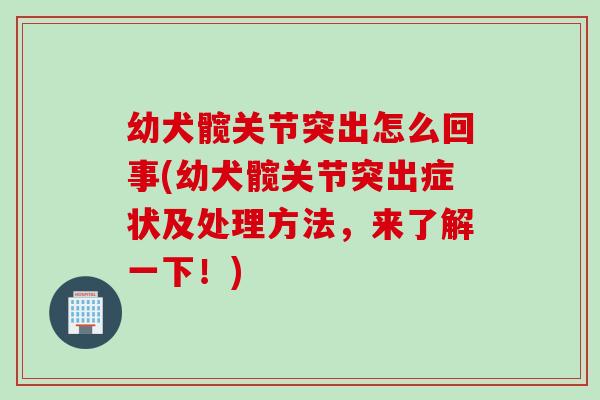 幼犬髋关节突出怎么回事(幼犬髋关节突出症状及处理方法，来了解一下！)