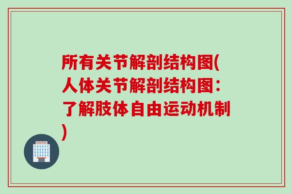 所有关节解剖结构图(人体关节解剖结构图：了解肢体自由运动机制)