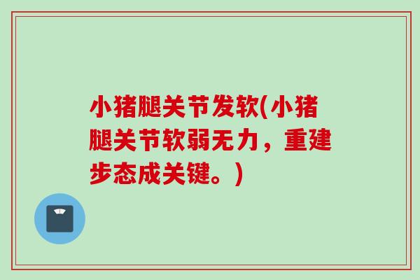 小猪腿关节发软(小猪腿关节软弱无力，重建步态成关键。)