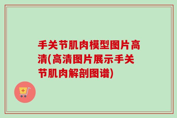 手关节肌肉模型图片高清(高清图片展示手关节肌肉解剖图谱)