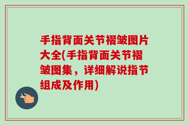 手指背面关节褶皱图片大全(手指背面关节褶皱图集，详细解说指节组成及作用)