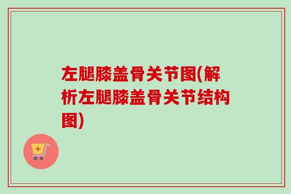 左腿膝盖骨关节图(解析左腿膝盖骨关节结构图)