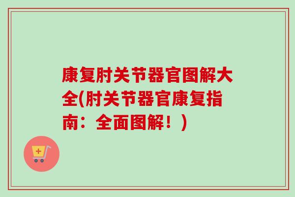康复肘关节器官图解大全(肘关节器官康复指南：全面图解！)