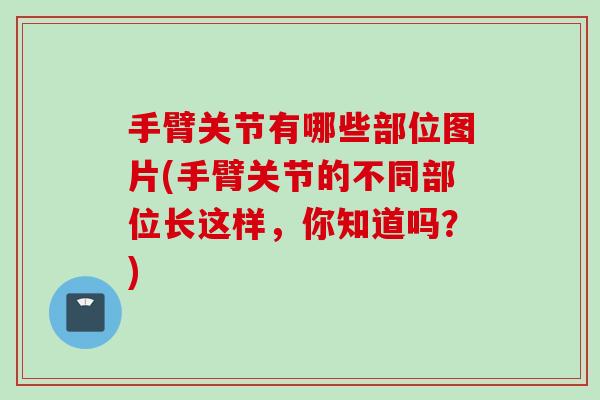 手臂关节有哪些部位图片(手臂关节的不同部位长这样，你知道吗？)