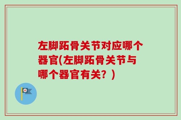 左脚跖骨关节对应哪个器官(左脚跖骨关节与哪个器官有关？)