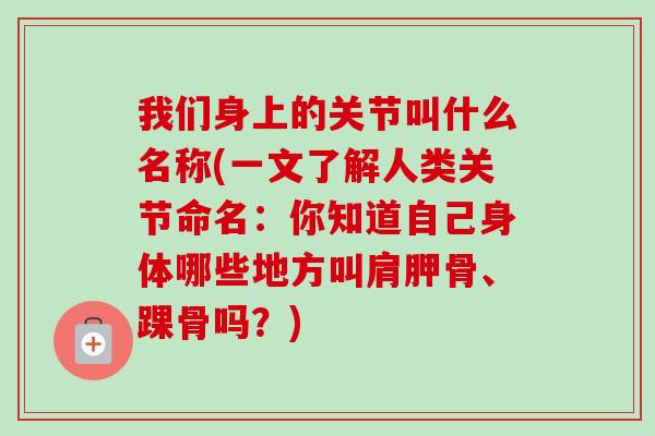 我们身上的关节叫什么名称(一文了解人类关节命名：你知道自己身体哪些地方叫肩胛骨、踝骨吗？)