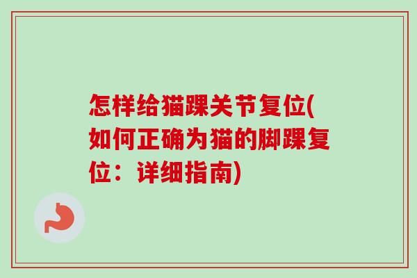 怎样给猫踝关节复位(如何正确为猫的脚踝复位：详细指南)