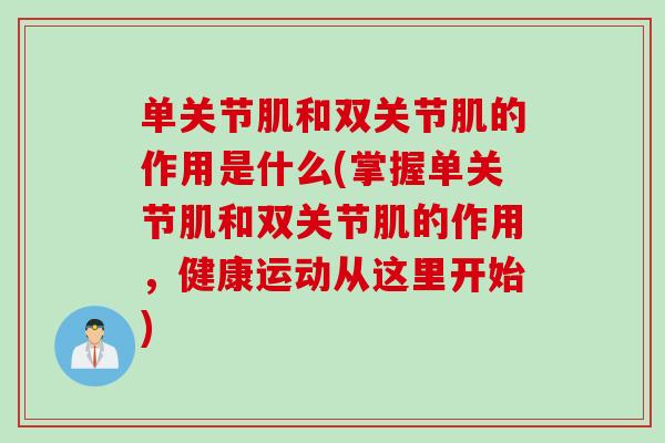 单关节肌和双关节肌的作用是什么(掌握单关节肌和双关节肌的作用，健康运动从这里开始)