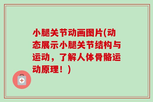 小腿关节动画图片(动态展示小腿关节结构与运动，了解人体骨骼运动原理！)