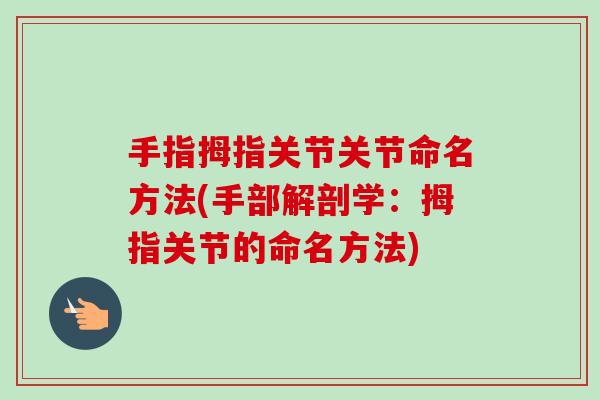 手指拇指关节关节命名方法(手部解剖学：拇指关节的命名方法)