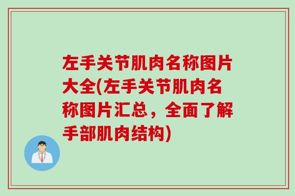 左手关节肌肉名称图片大全(左手关节肌肉名称图片汇总，全面了解手部肌肉结构)