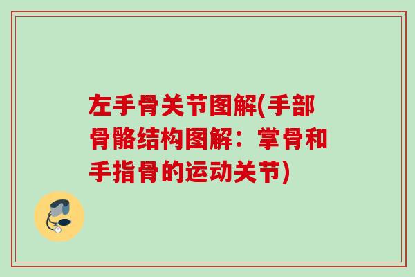 左手骨关节图解(手部骨骼结构图解：掌骨和手指骨的运动关节)