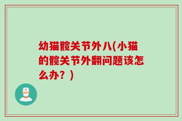 幼猫髋关节外八(小猫的髋关节外翻问题该怎么办？)