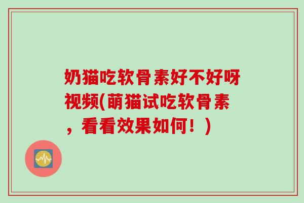 奶猫吃软骨素好不好呀视频(萌猫试吃软骨素，看看效果如何！)