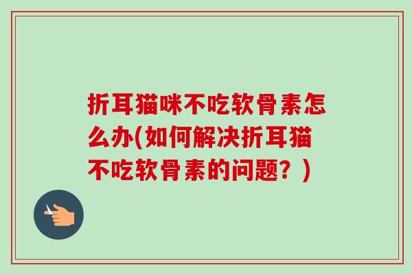 折耳猫咪不吃软骨素怎么办(如何解决折耳猫不吃软骨素的问题？)